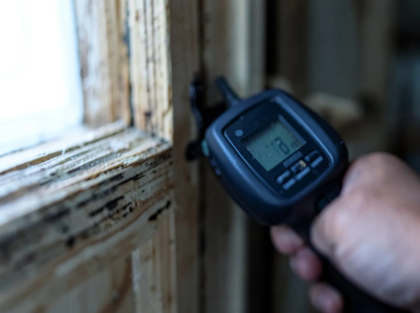 Moisture Inspection And Documentation in Gibsland, LA